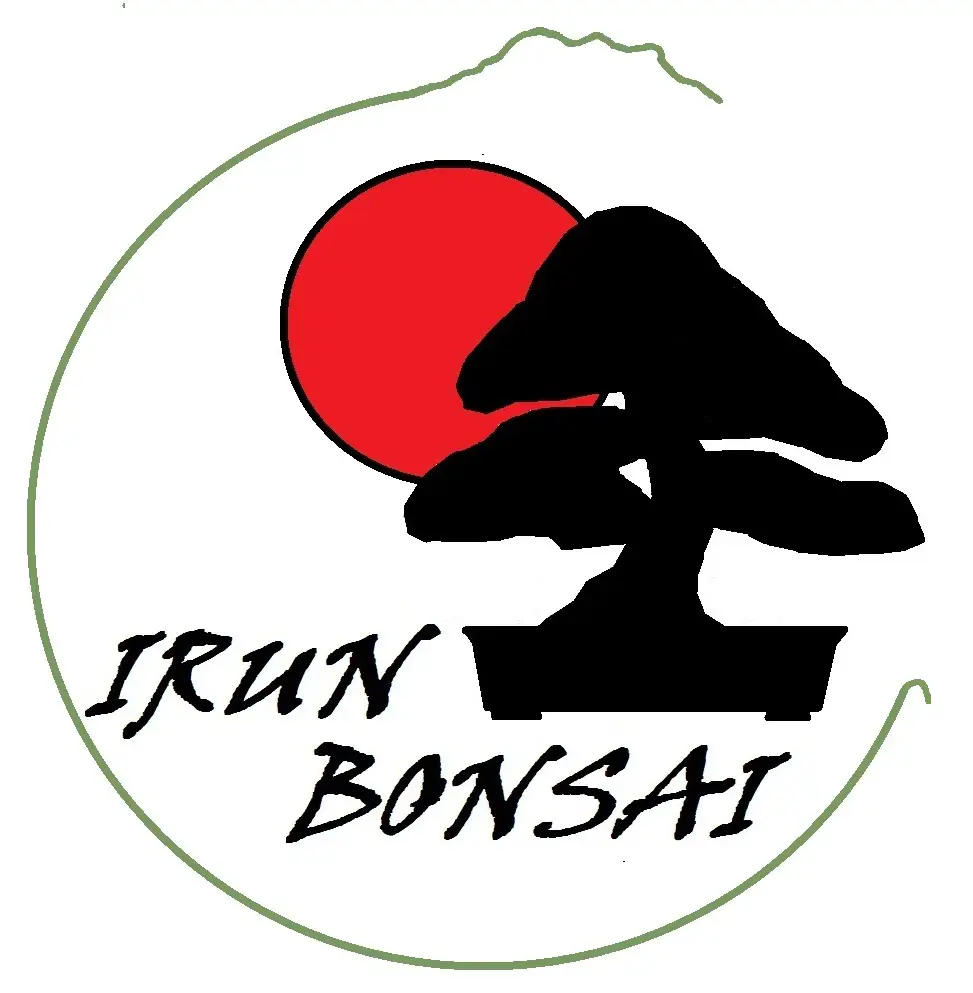 IRUN BONSAI
