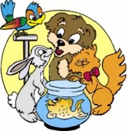 Amaita mascotas