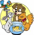 Amaita mascotas